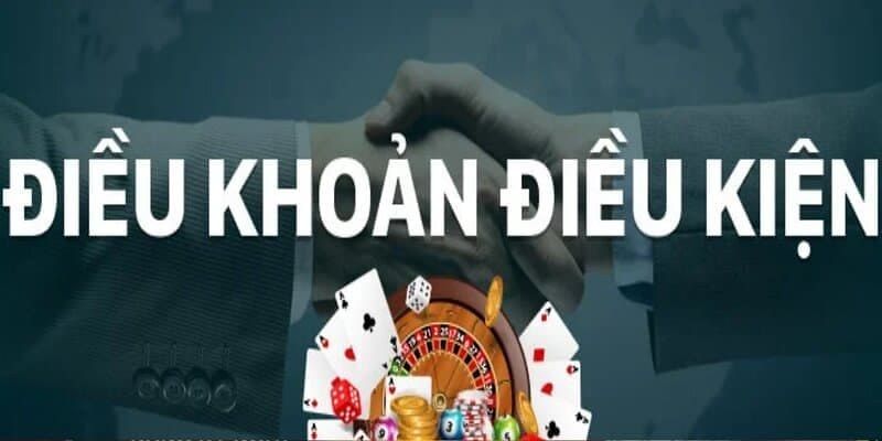 Điều khoản và Điều kiện Tổng hợp các quy định về điều khoản và điều kiện