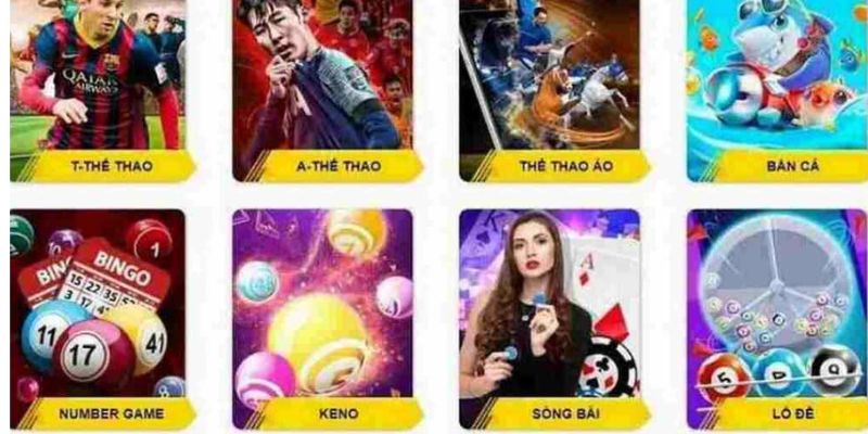Giới thiệu Những sản phẩm cá cược độc đáo