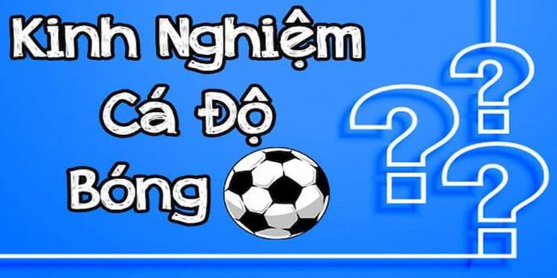 Kinh nghiệm chơi cá độ bóng đá Kinh nghiệm chơi cá độ bóng đá