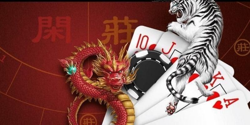 Dragon Tiger FM88 - Trò Chơi Cá Cược Hàng Đầu Bạn Nên Thử 4 Những bí kíp giúp bạn dễ dàng chiến thắng rồng hổ