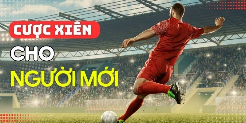 Cược Xiên Là Gì - Hình Thức Đặt Cược Hot Nhất 2024 3 Những kinh nghiệm chơi cược xiên là gì để hiệu quả